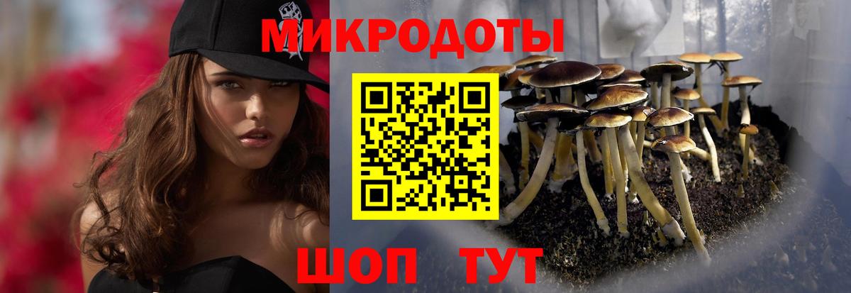 Псилоцибиновые грибы MAGIC MUSHROOMS Шелехов