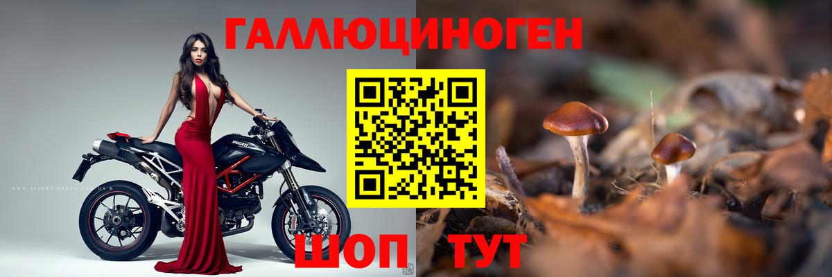 Галлюциногенные грибы ЛСД  Вход с VPN  Шелехов 